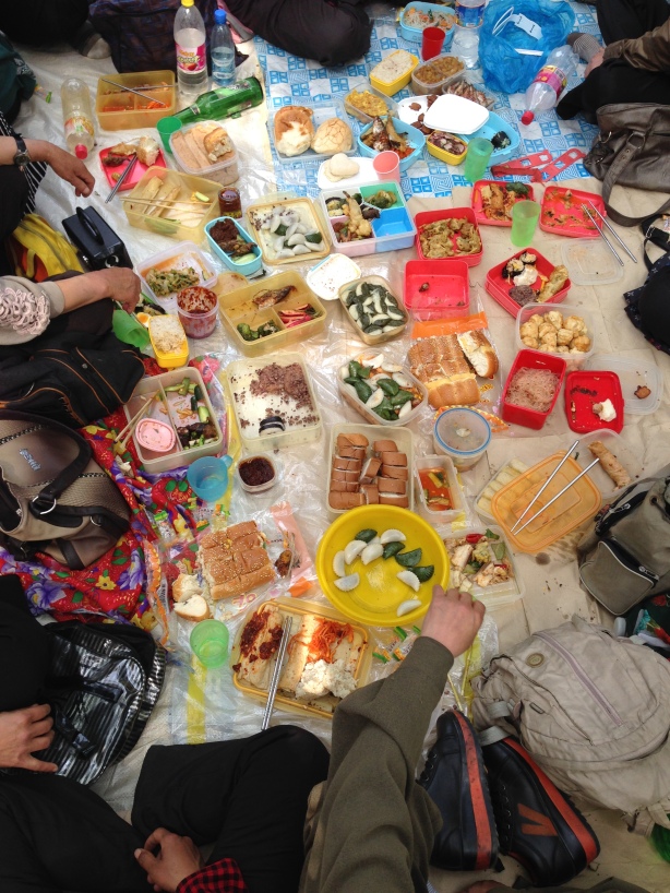 A typical picnic sample